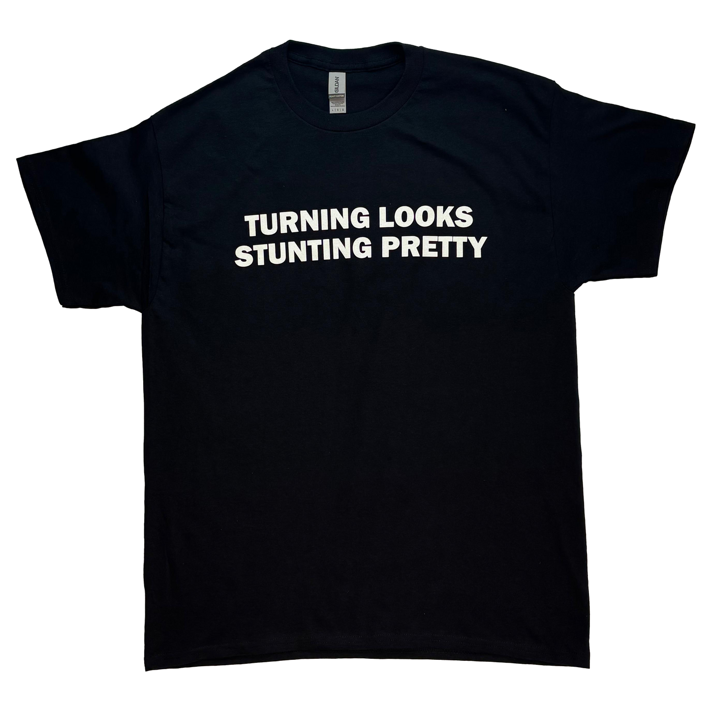 Aquaria Turning Looking Stunting Pretty T-shirt