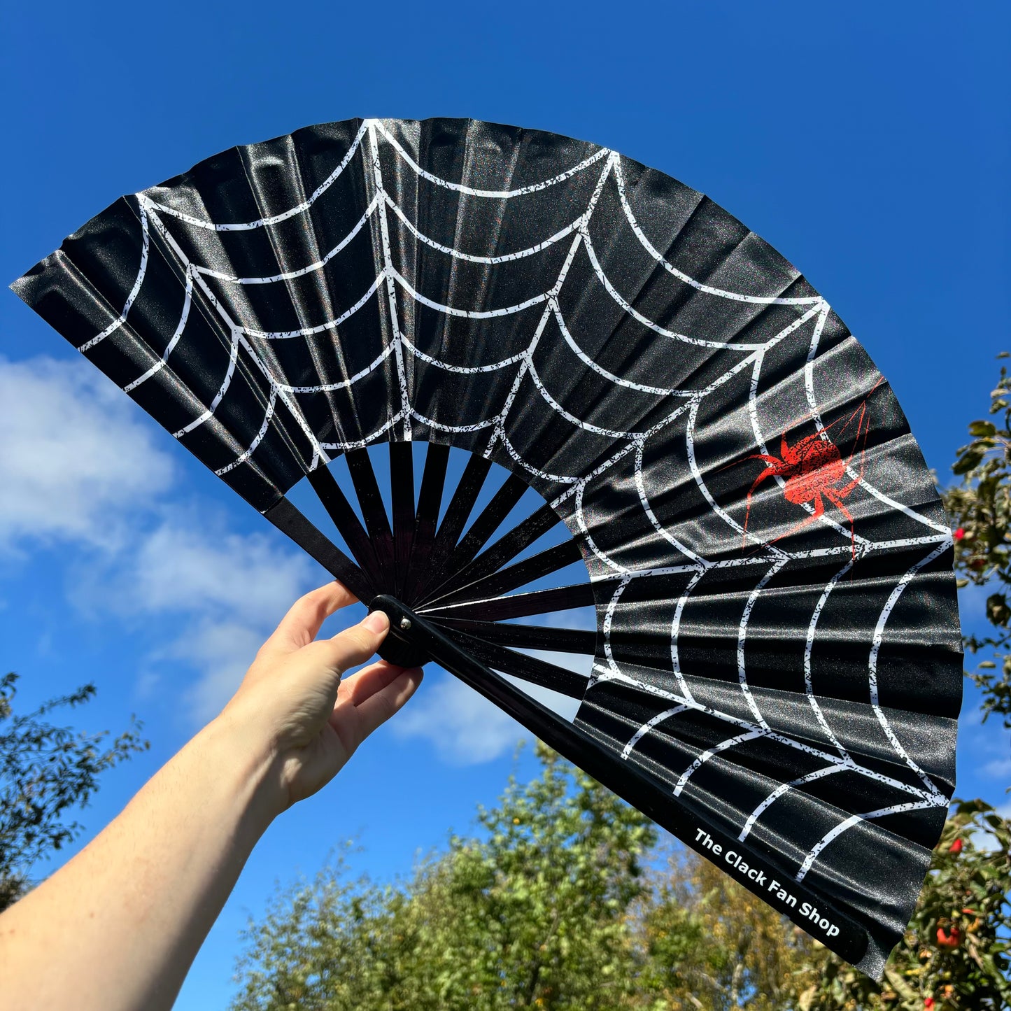 Cobweb Fan (Grunge)