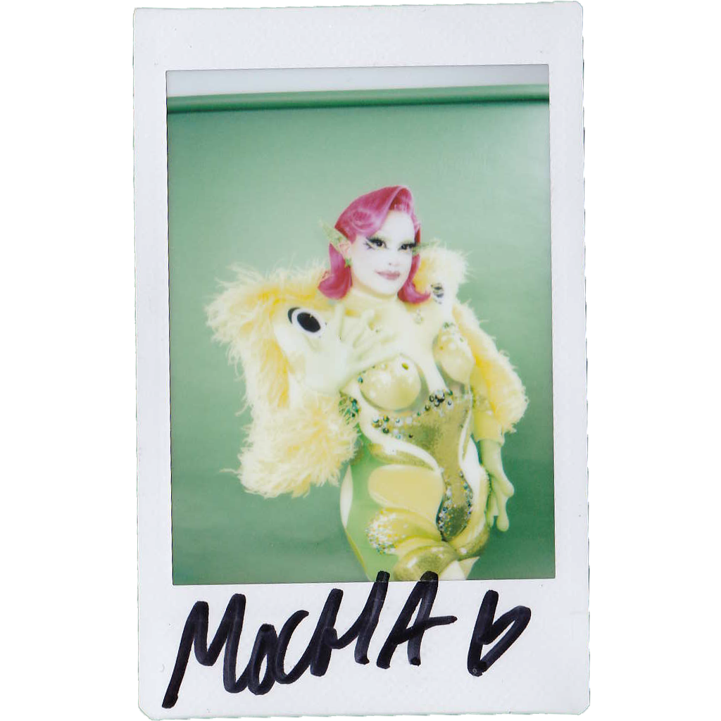 Mocha Signed Polaroids