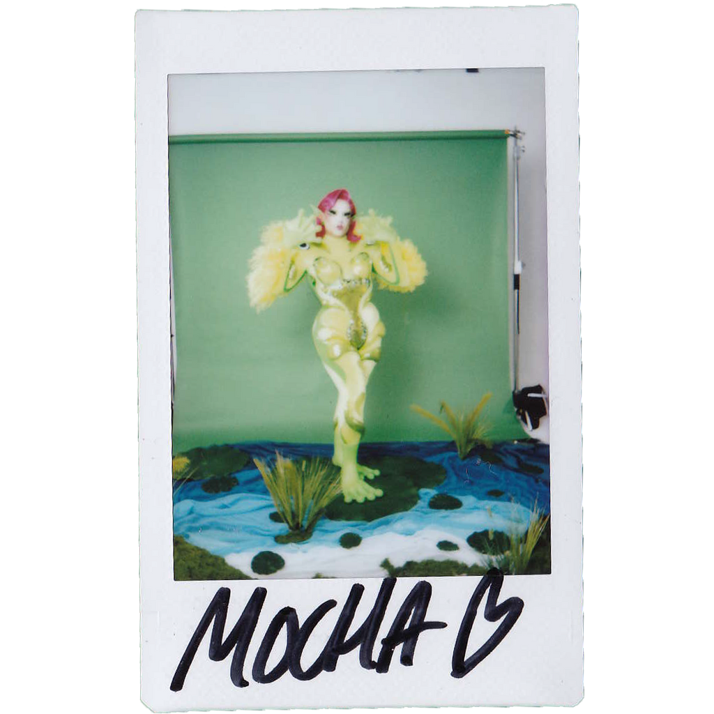 Mocha Signed Polaroids