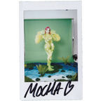 Mocha Signed Polaroids