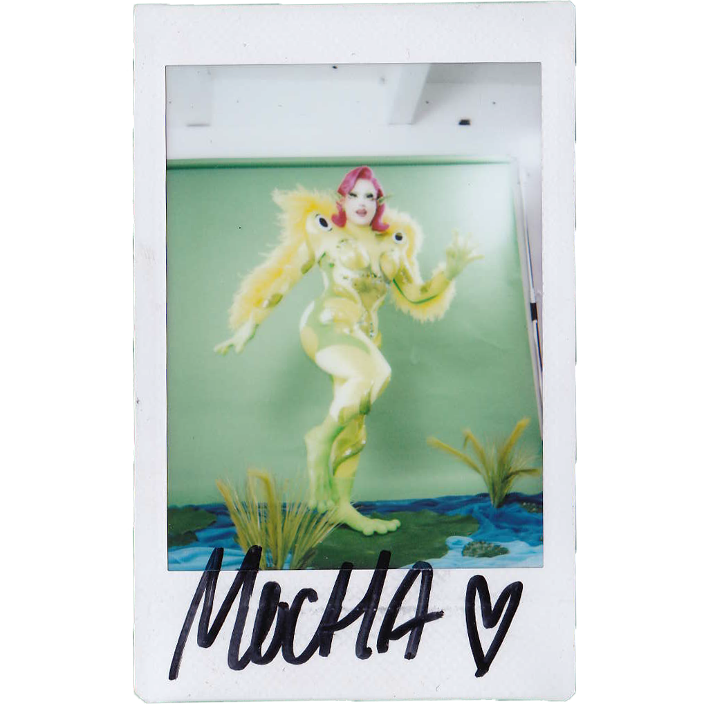 Mocha Signed Polaroids