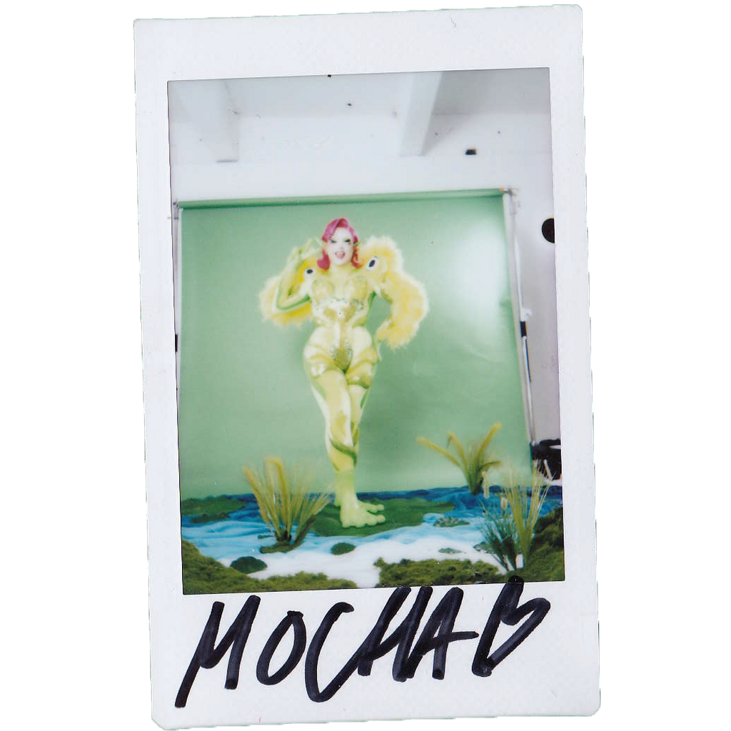 Mocha Signed Polaroids