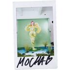 Mocha Signed Polaroids