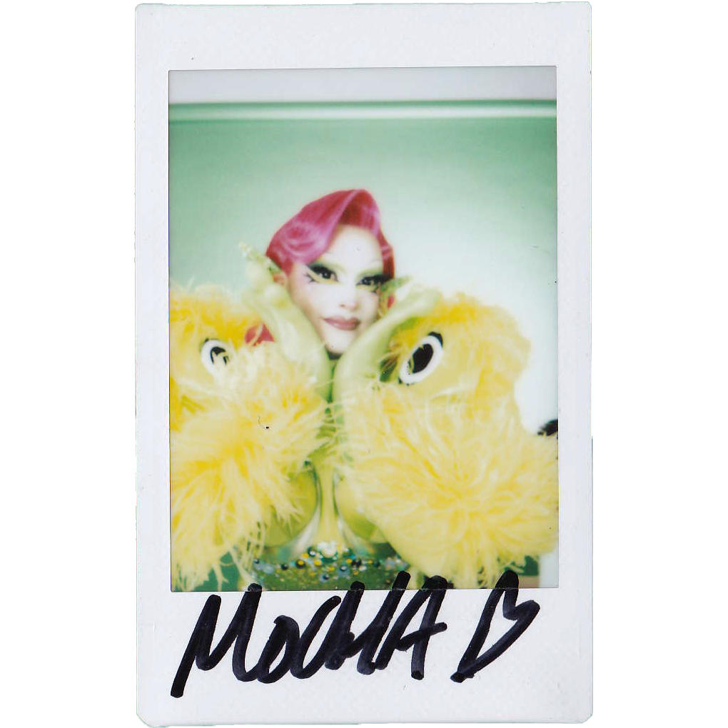 Mocha Signed Polaroids