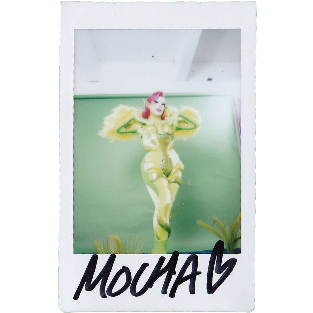 Mocha Signed Polaroids