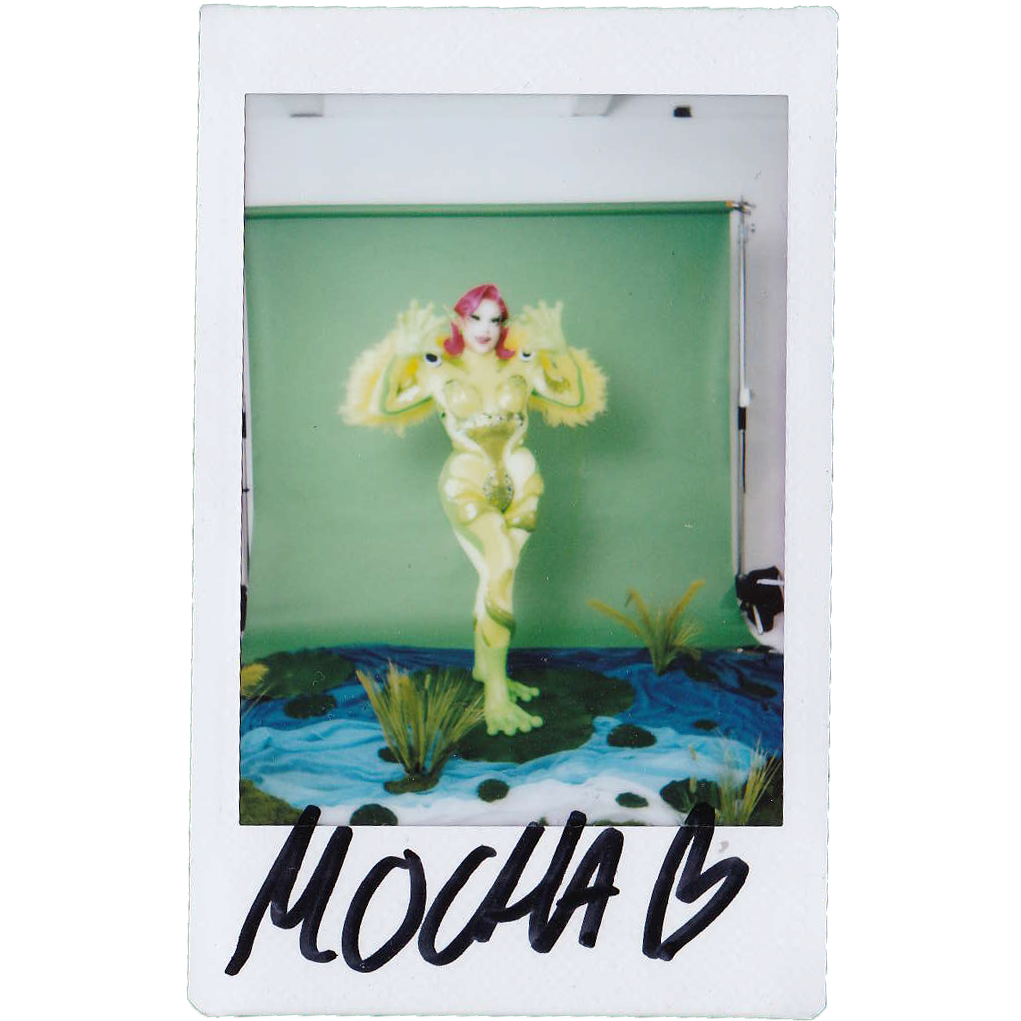 Mocha Signed Polaroids