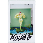 Mocha Signed Polaroids