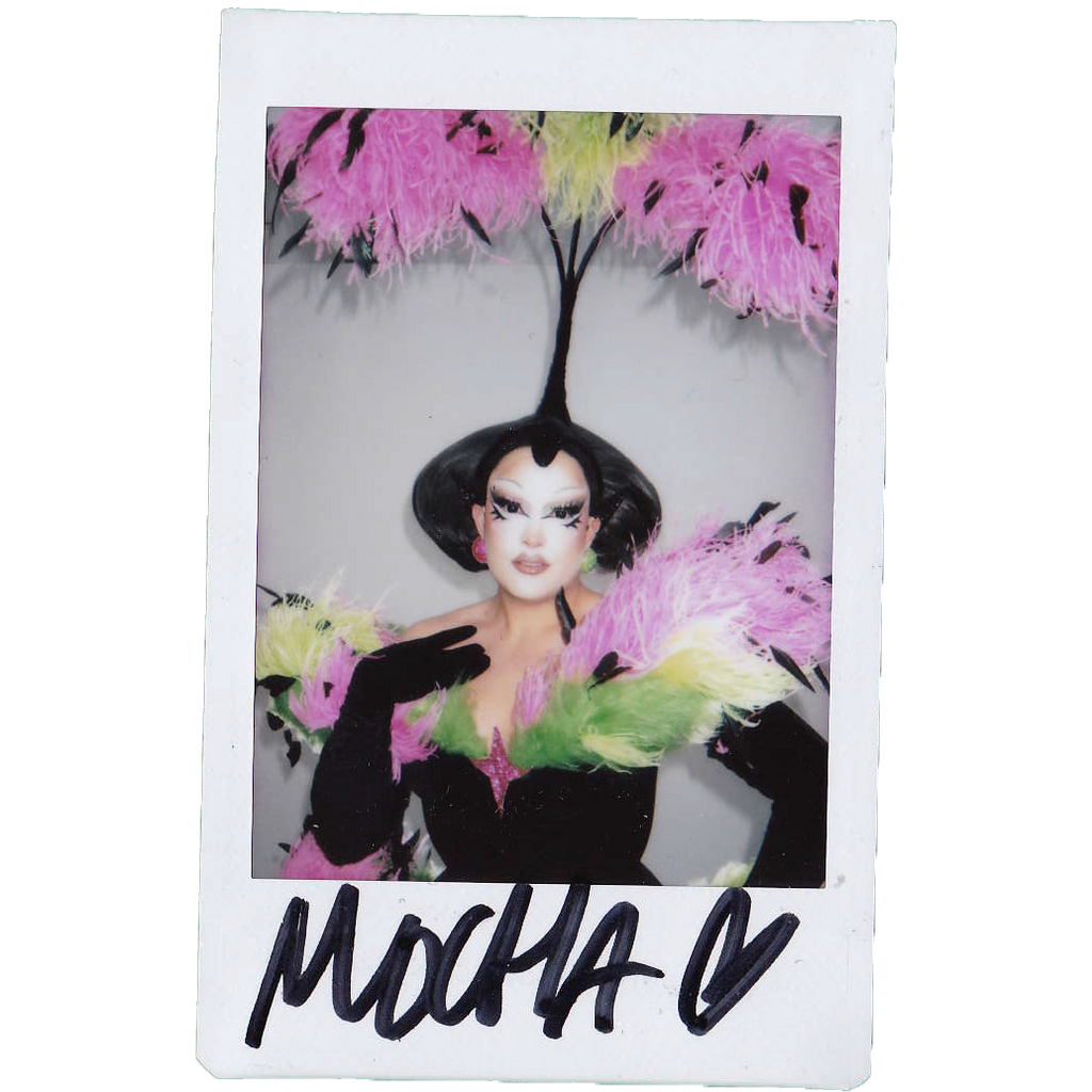 Mocha Signed Polaroids