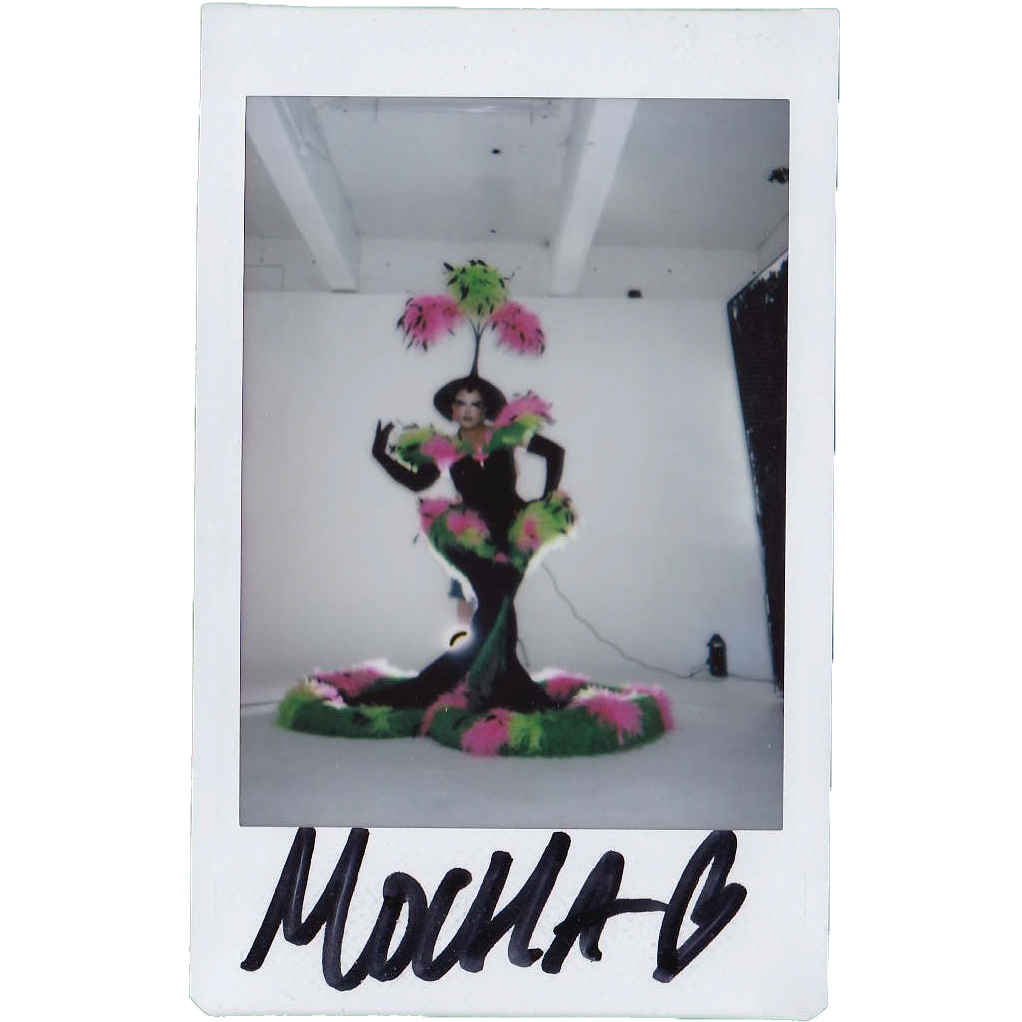 Mocha Signed Polaroids