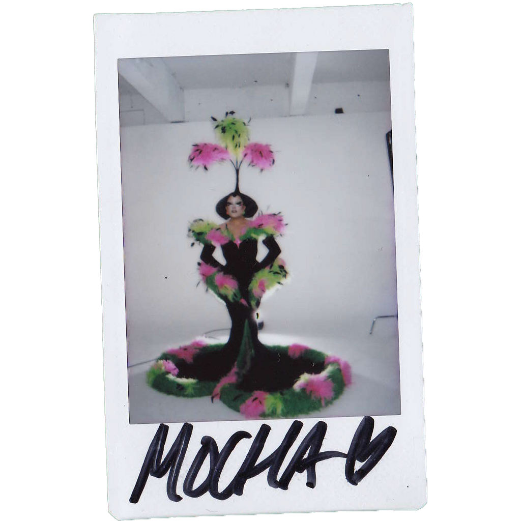 Mocha Signed Polaroids