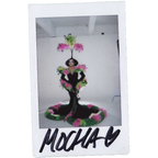 Mocha Signed Polaroids