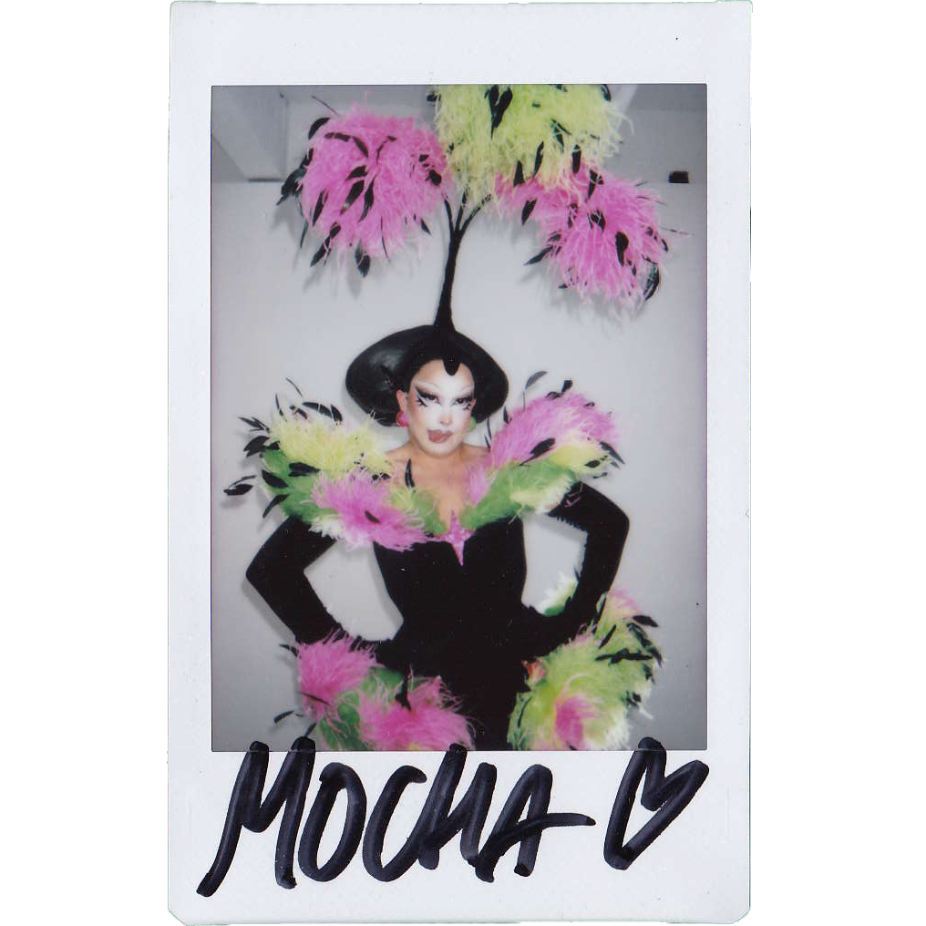 Mocha Signed Polaroids