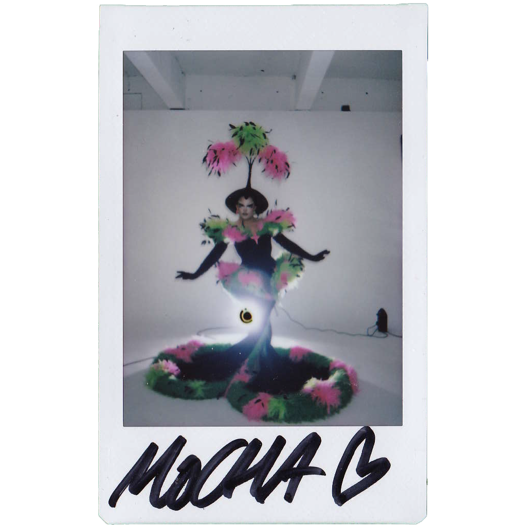 Mocha Signed Polaroids