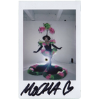 Mocha Signed Polaroids