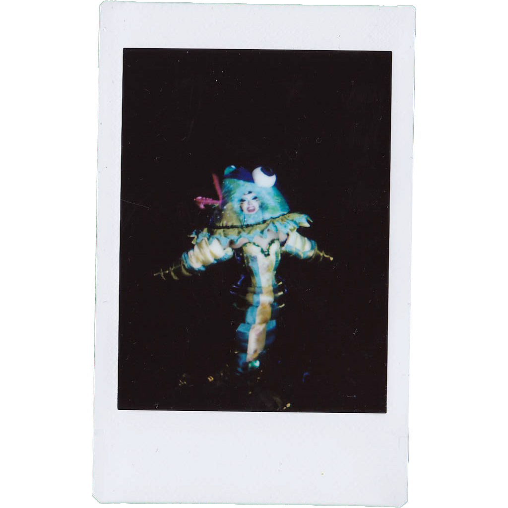 Mocha Signed Polaroids