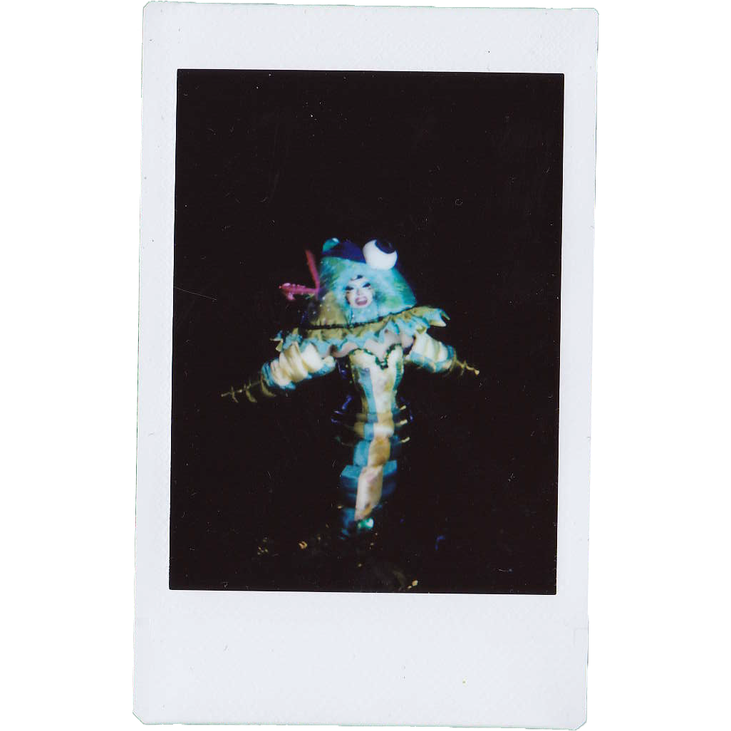 Mocha Signed Polaroids