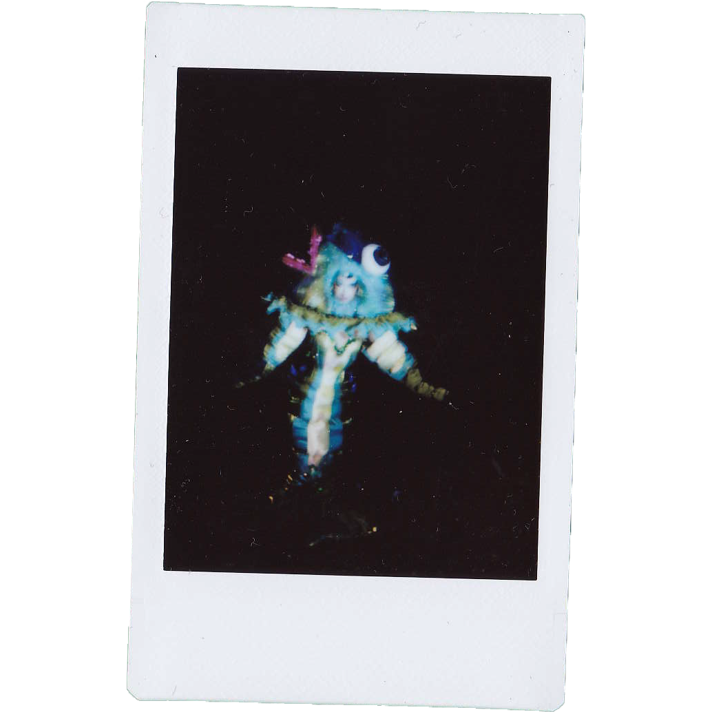 Mocha Signed Polaroids