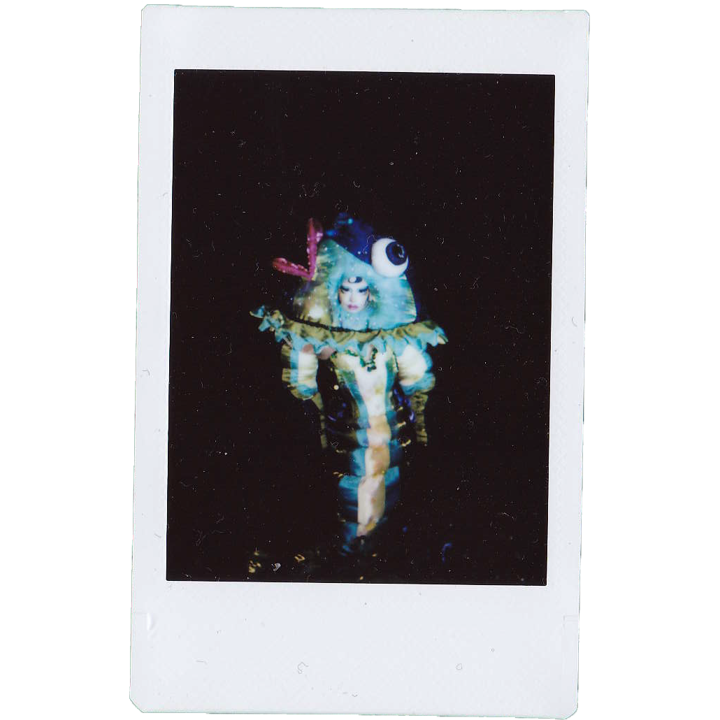 Mocha Signed Polaroids