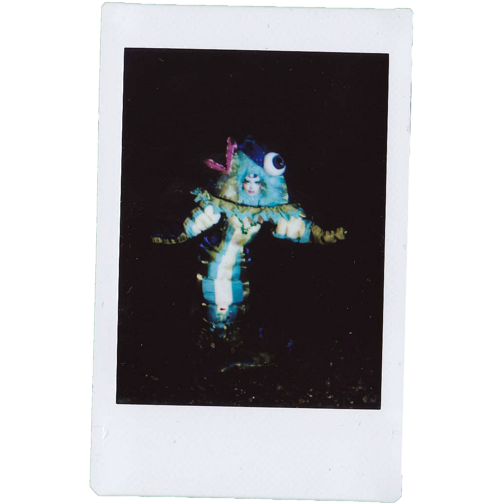 Mocha Signed Polaroids