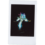 Mocha Signed Polaroids