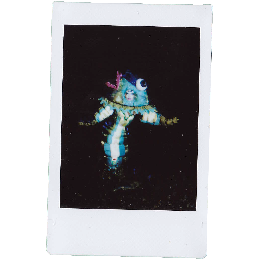 Mocha Signed Polaroids
