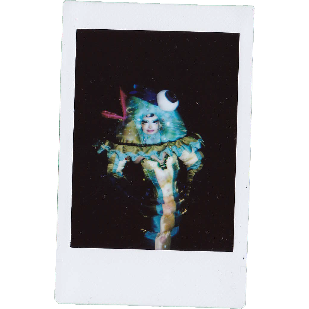 Mocha Signed Polaroids
