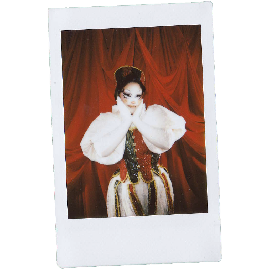 Mocha Signed Polaroids