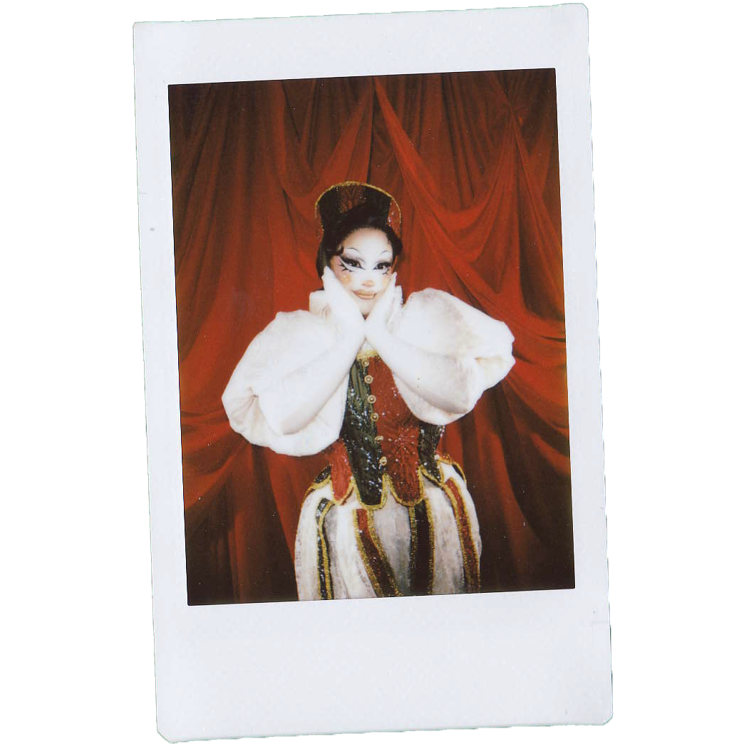 Mocha Signed Polaroids