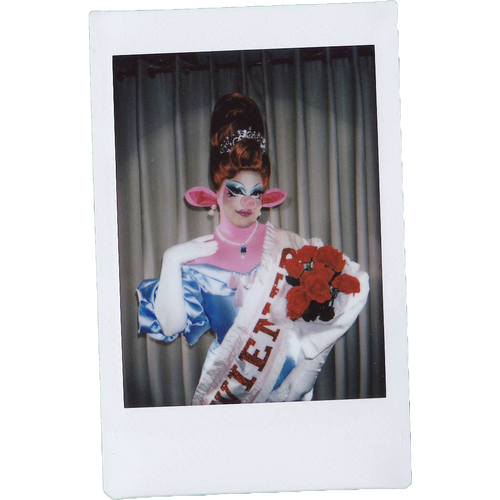 Mocha Signed Polaroids