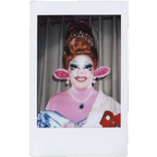 Mocha Signed Polaroids