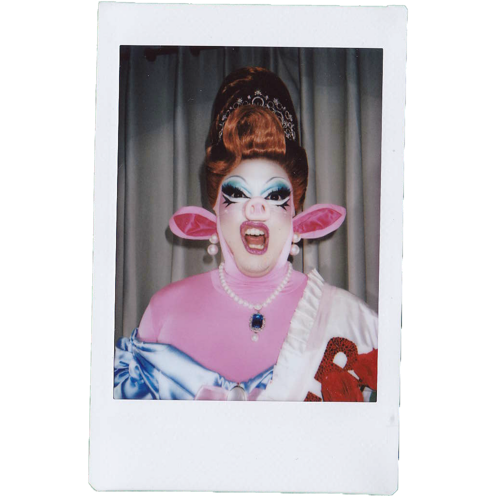 Mocha Signed Polaroids