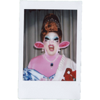 Mocha Signed Polaroids
