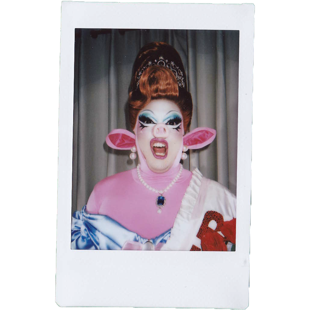 Mocha Signed Polaroids