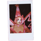 Mocha Signed Polaroids