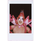 Mocha Signed Polaroids