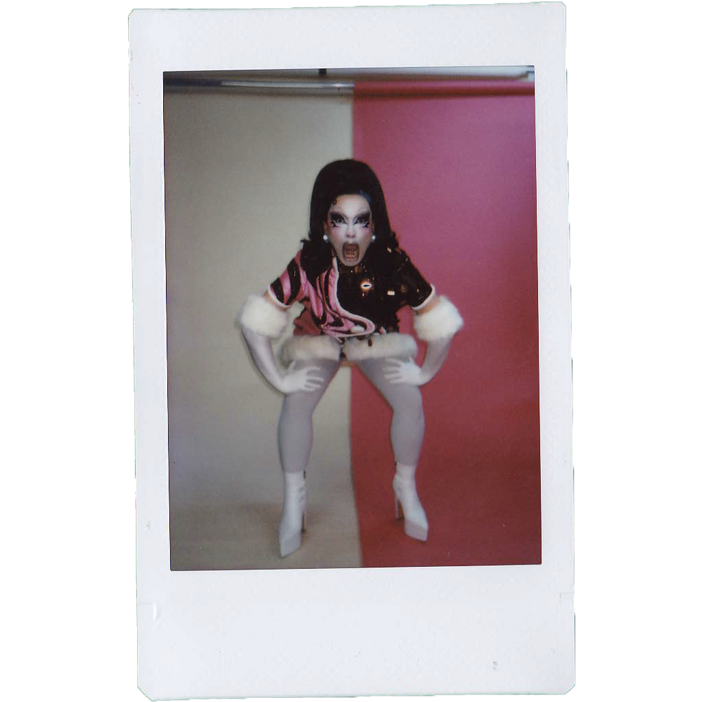 Mocha Signed Polaroids