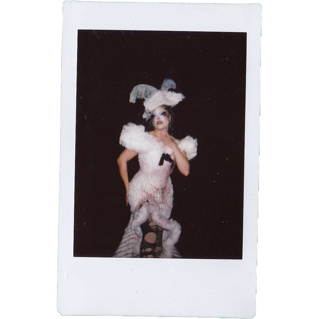 Mocha Signed Polaroids