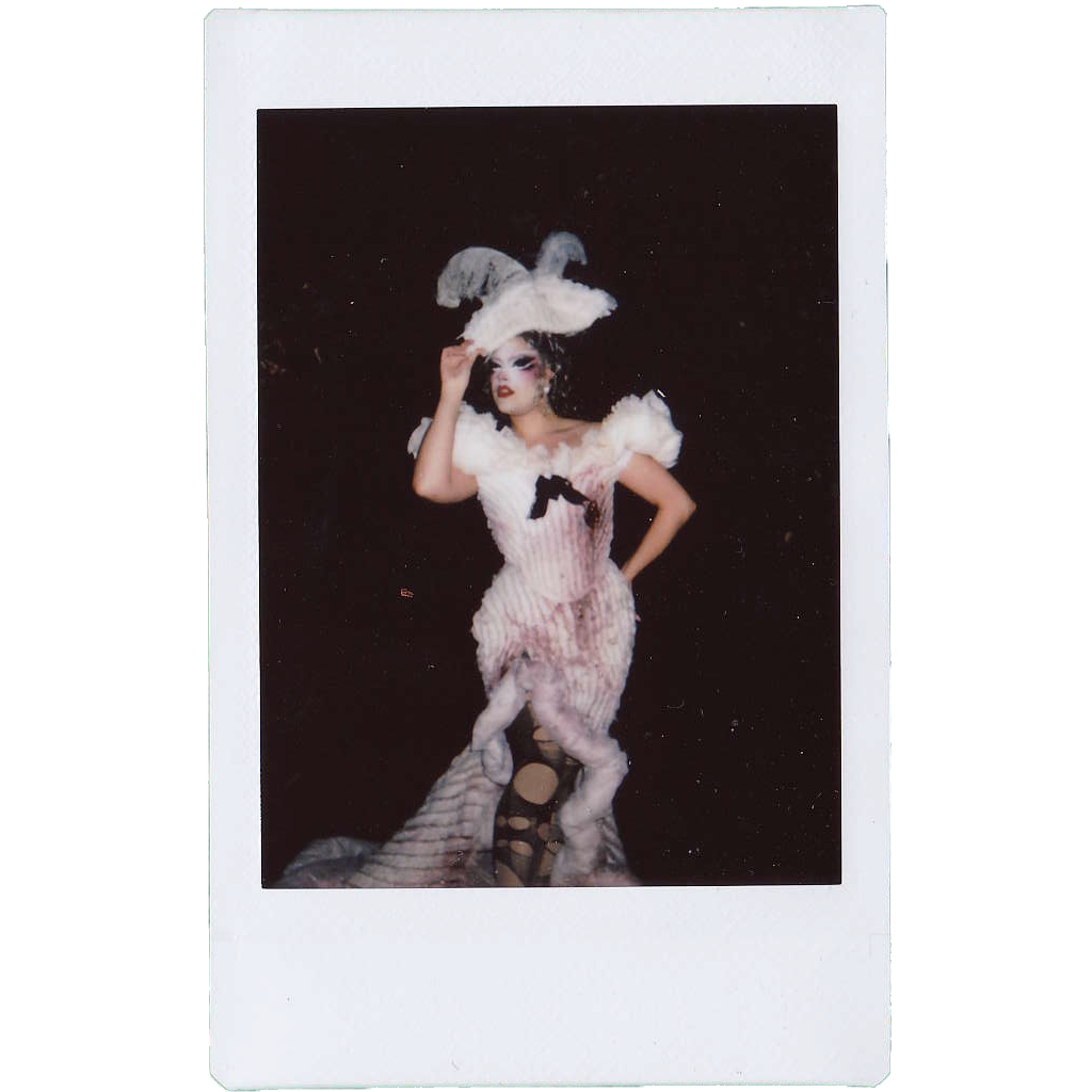 Mocha Signed Polaroids