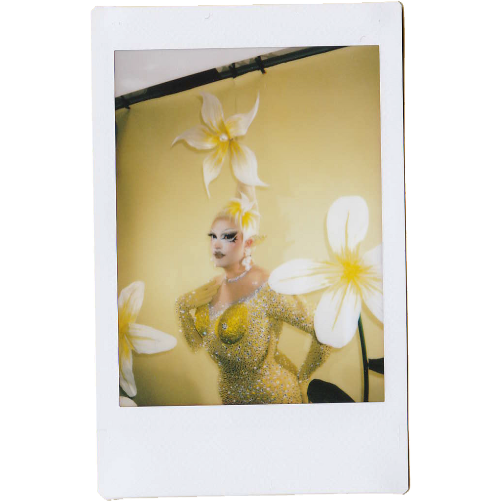 Mocha Signed Polaroids