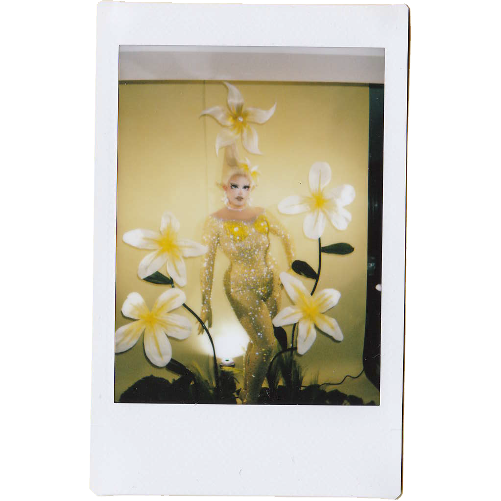 Mocha Signed Polaroids