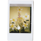 Mocha Signed Polaroids