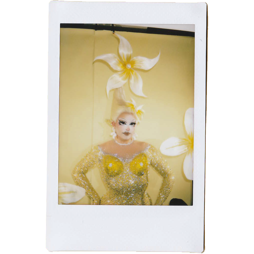 Mocha Signed Polaroids