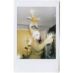 Mocha Signed Polaroids