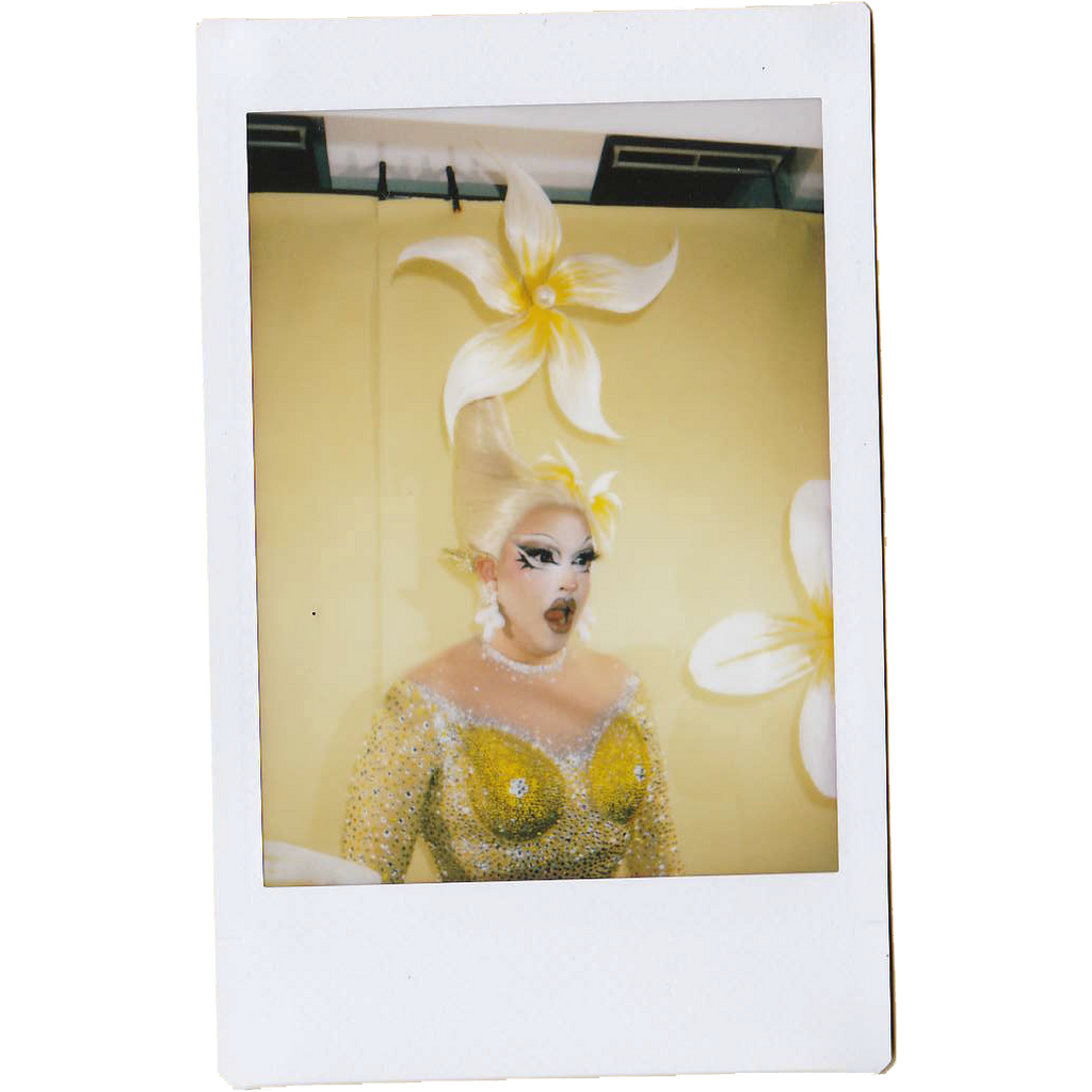 Mocha Signed Polaroids