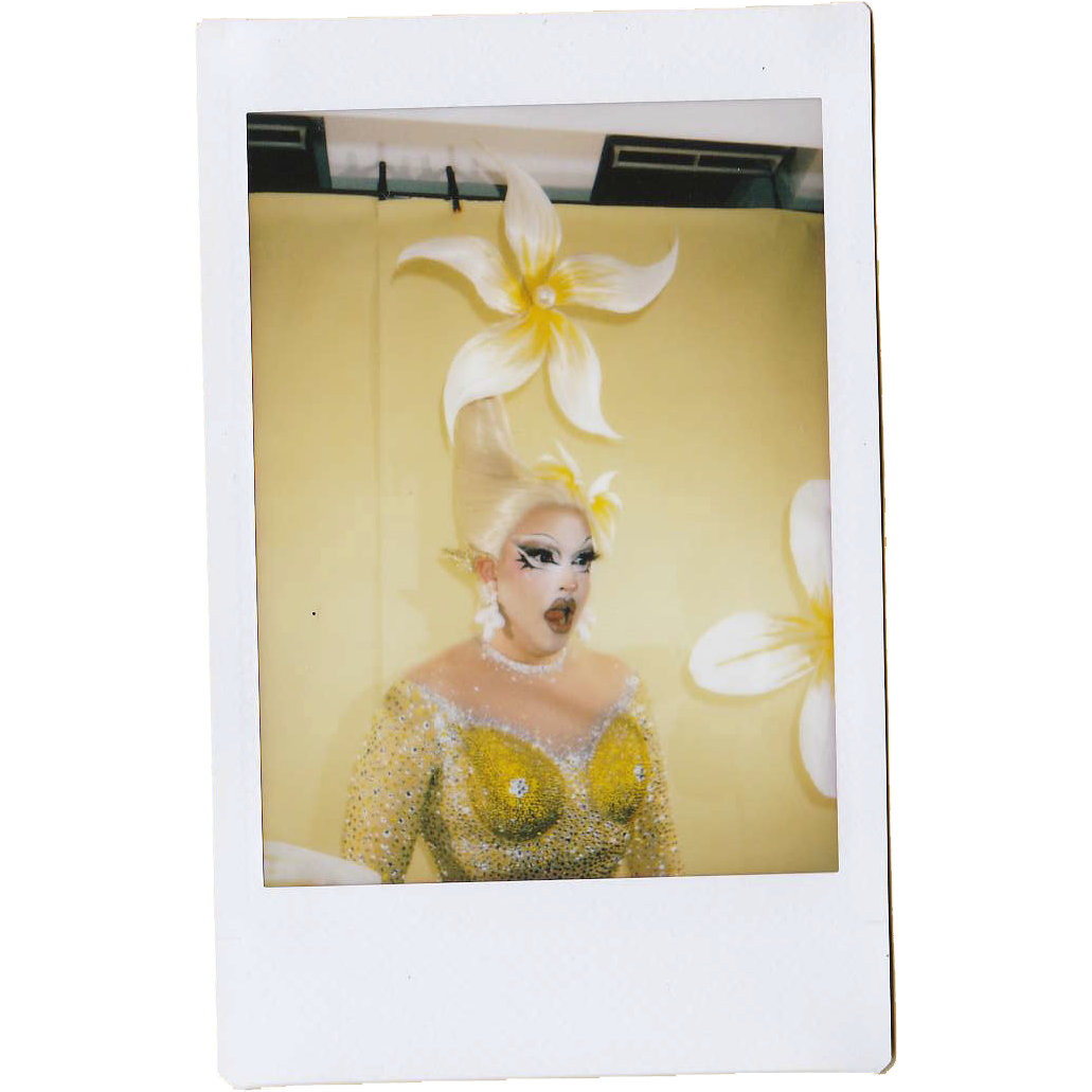 Mocha Signed Polaroids