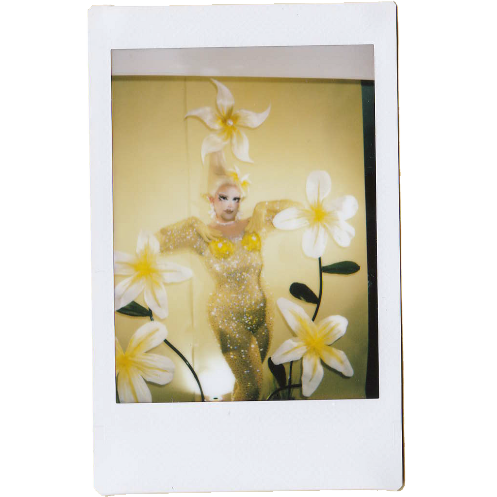 Mocha Signed Polaroids