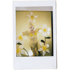 Mocha Signed Polaroids