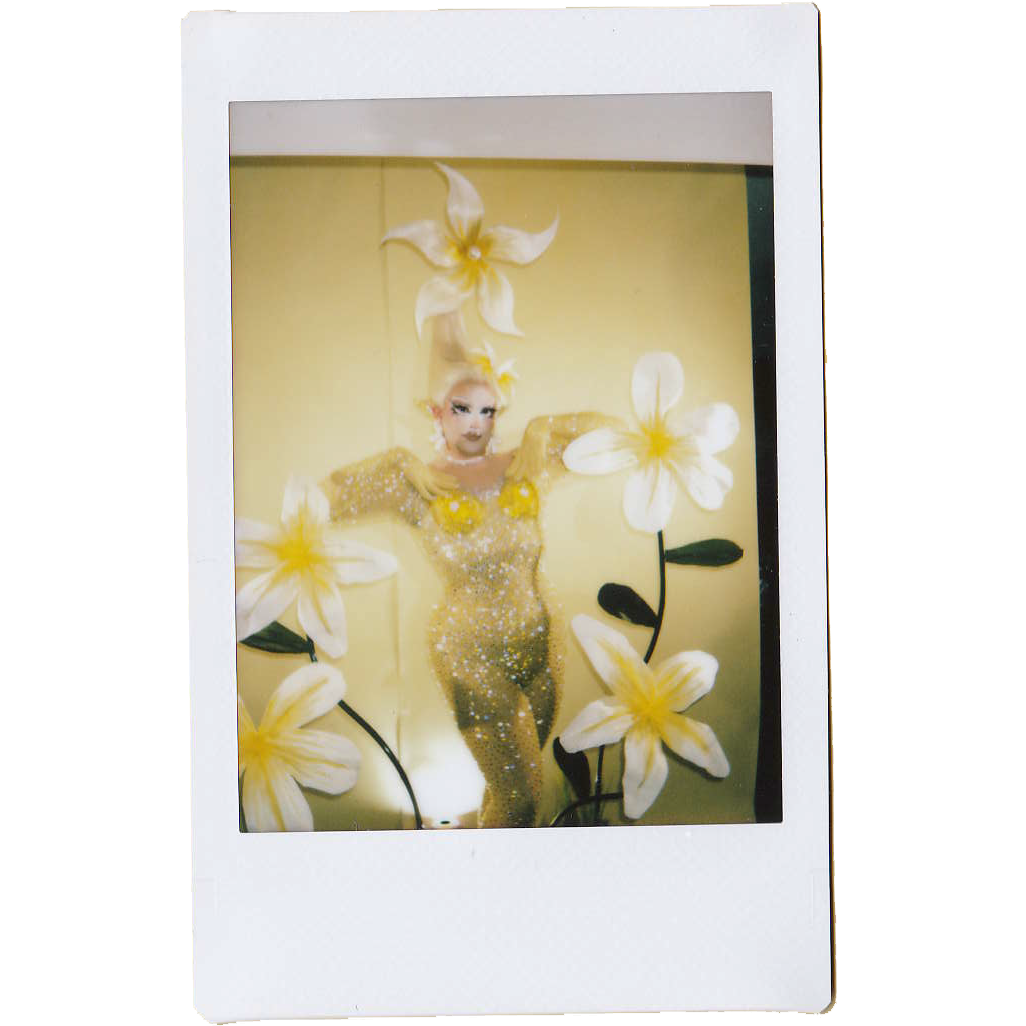 Mocha Signed Polaroids