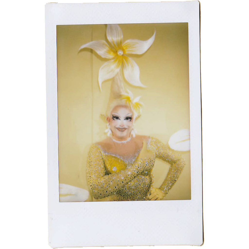Mocha Signed Polaroids